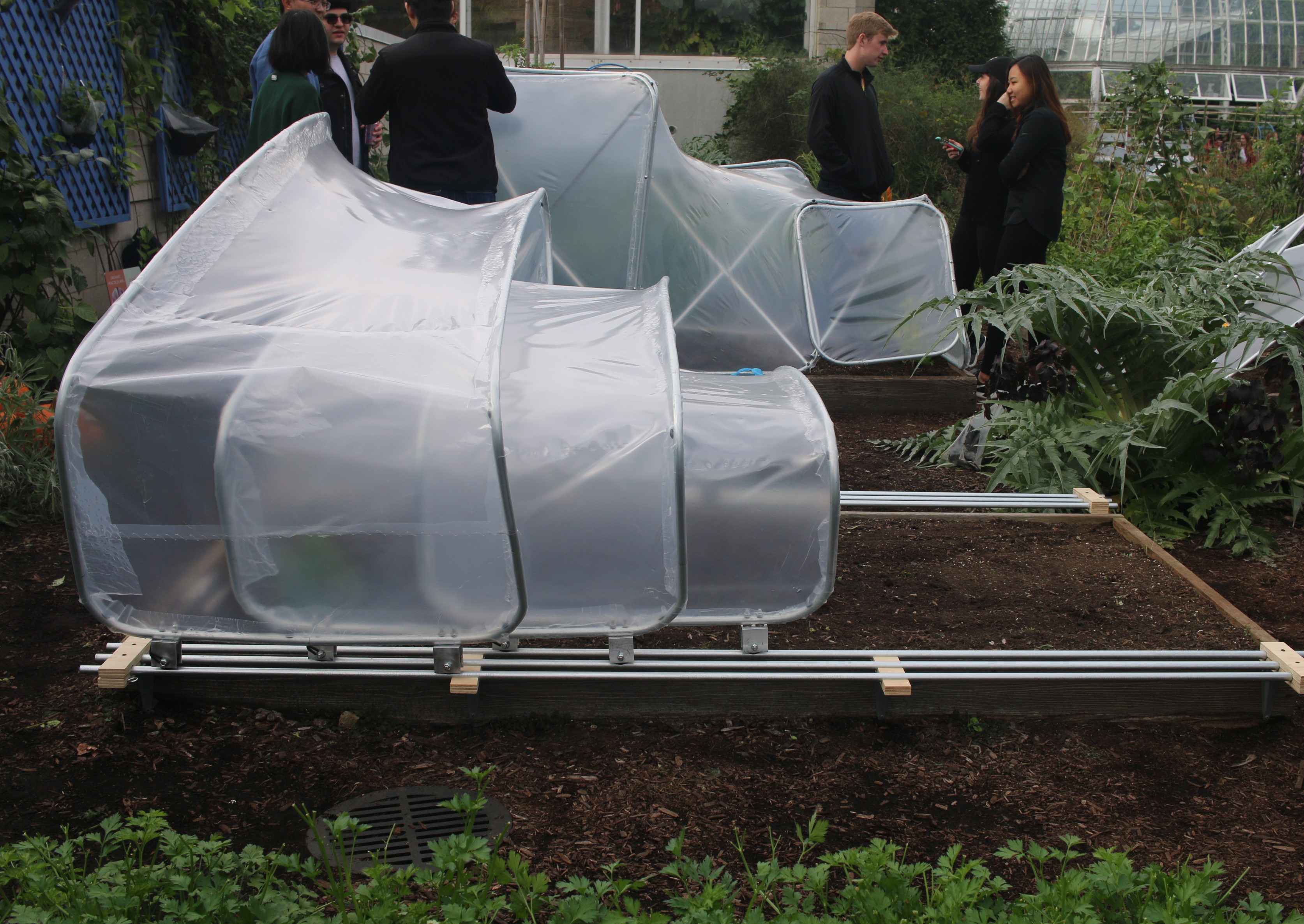 hoop house — IMG_9825